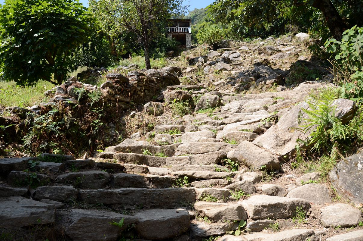 Nayapul To Ghorepani 17 The Thousands Of Steps Continue On The Way To Ulleri 